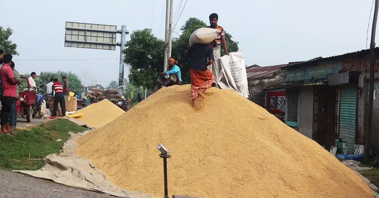 নওগাঁয় বিক্রির জন্য রাখা ধান